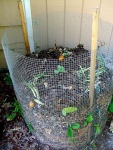 compost box2